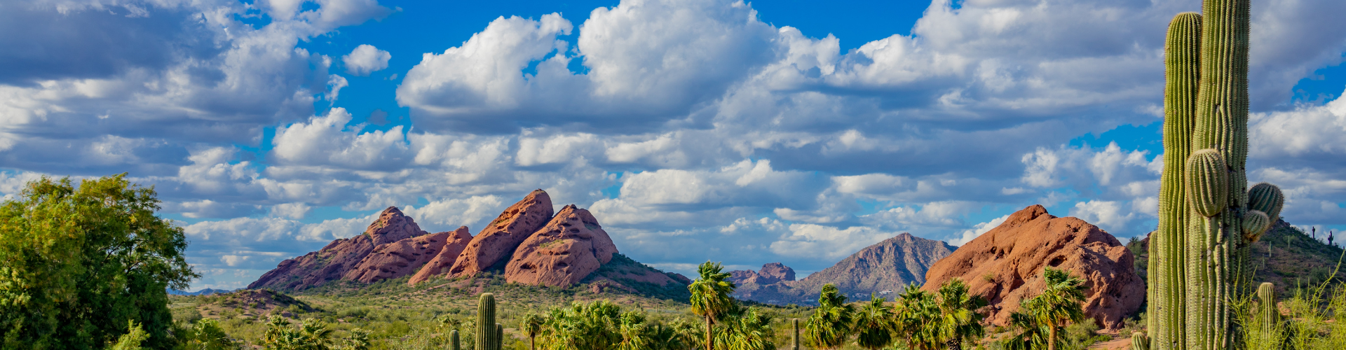 A landscape with mountains and trees.