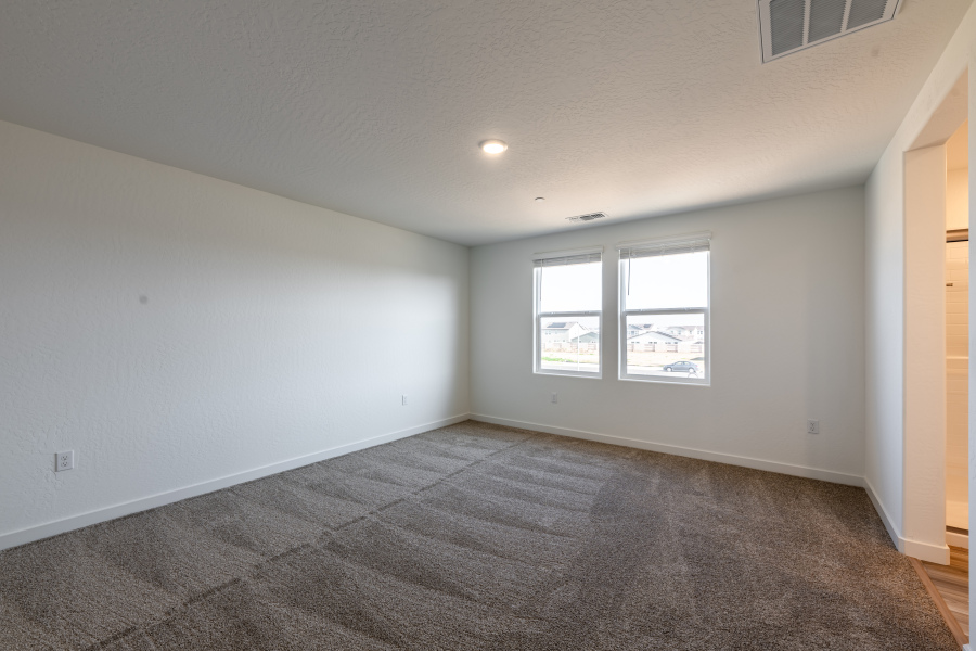 A room with a carpet and windows.