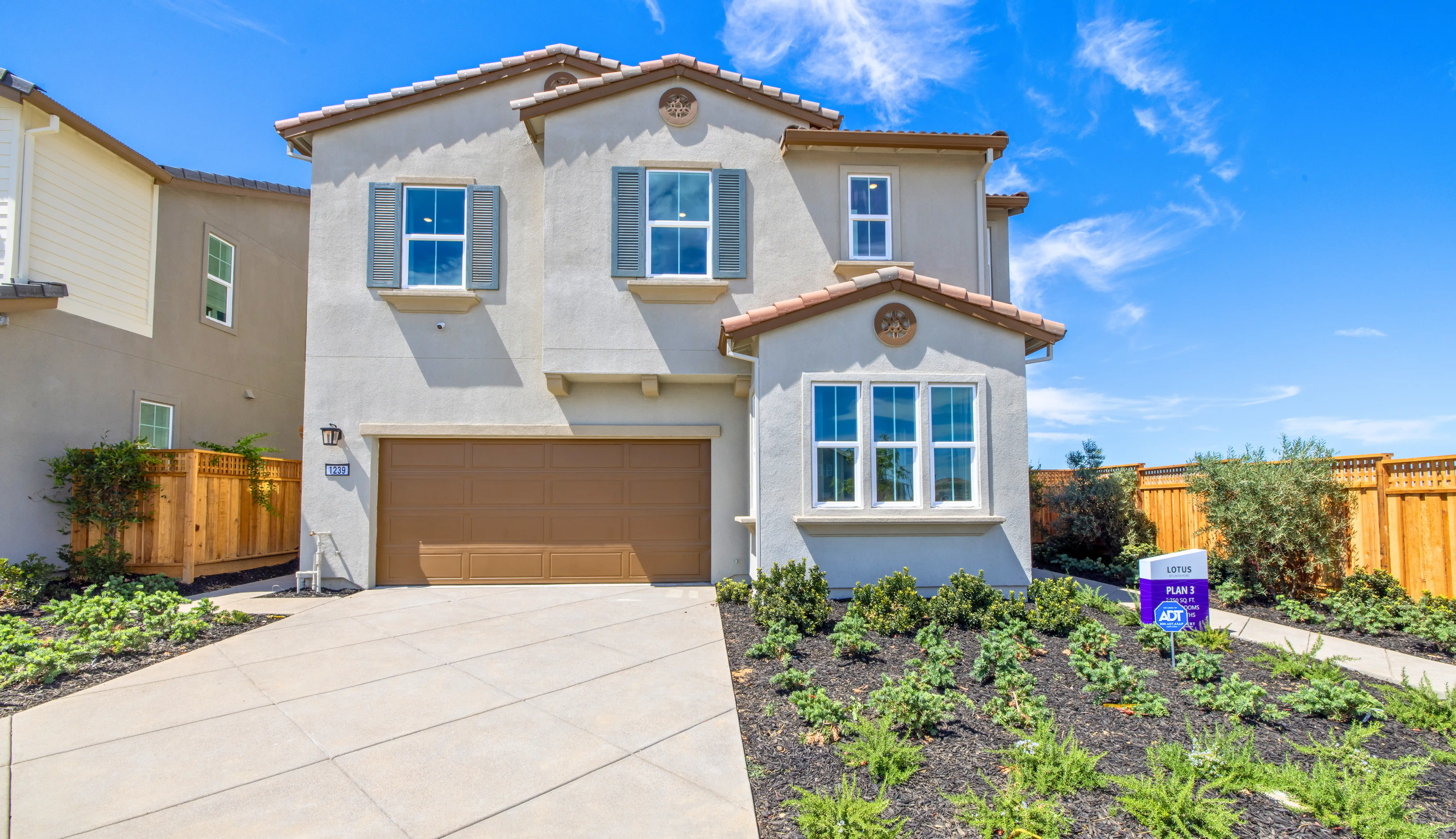 079-h_0258 - edited.webp