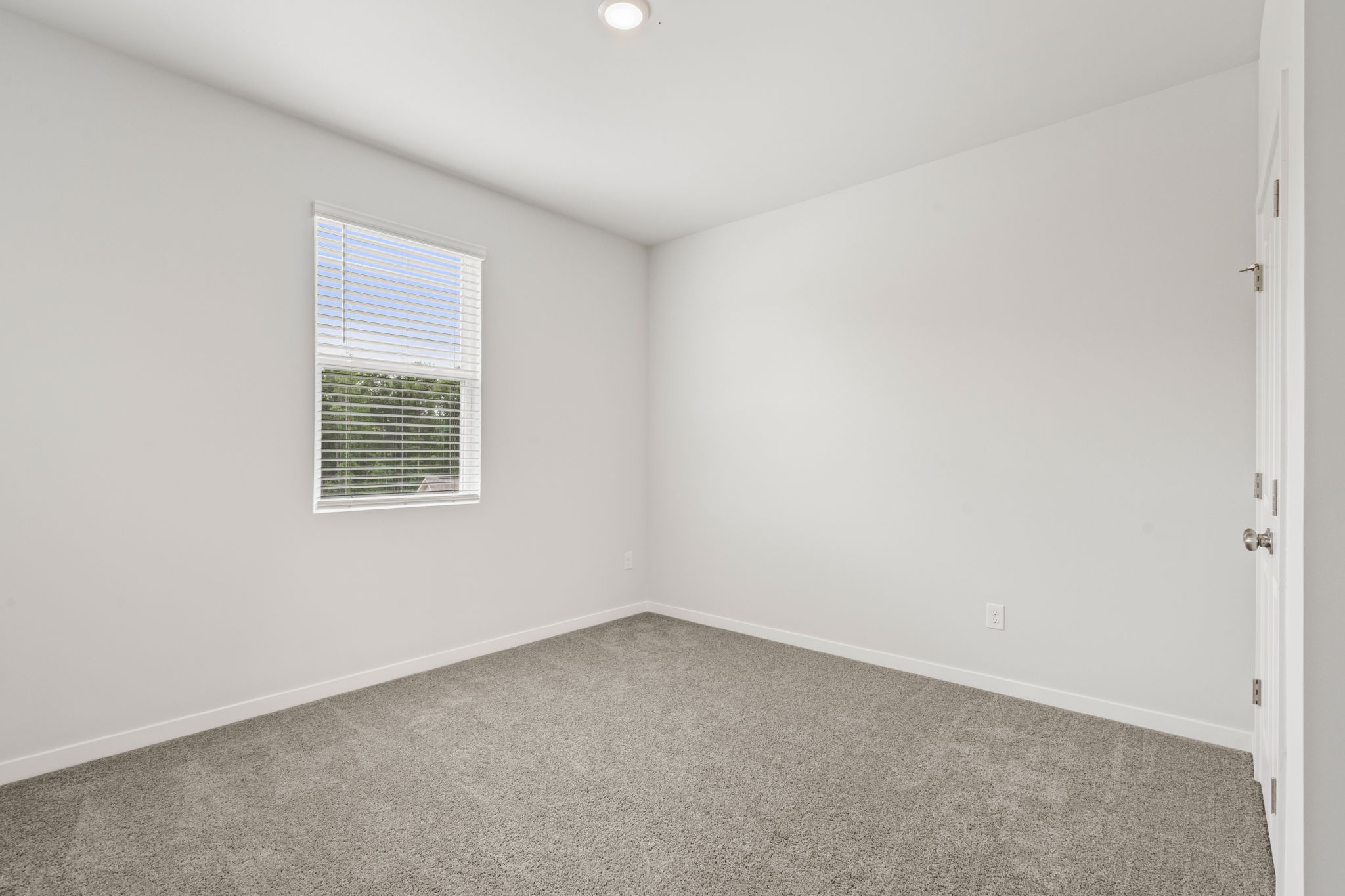 A room with a carpet and a window.