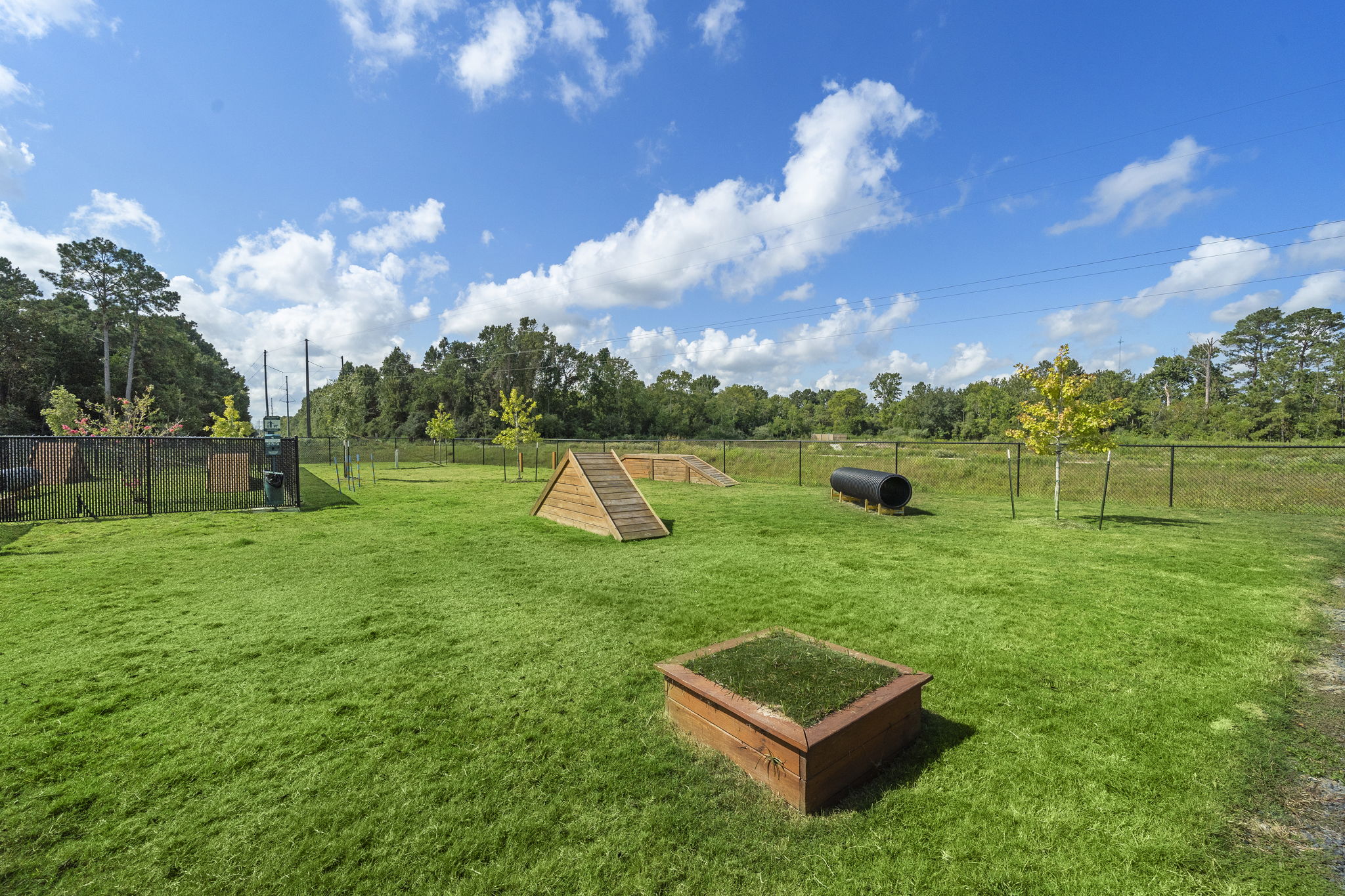 A grassy field with a fence and trees in the background.