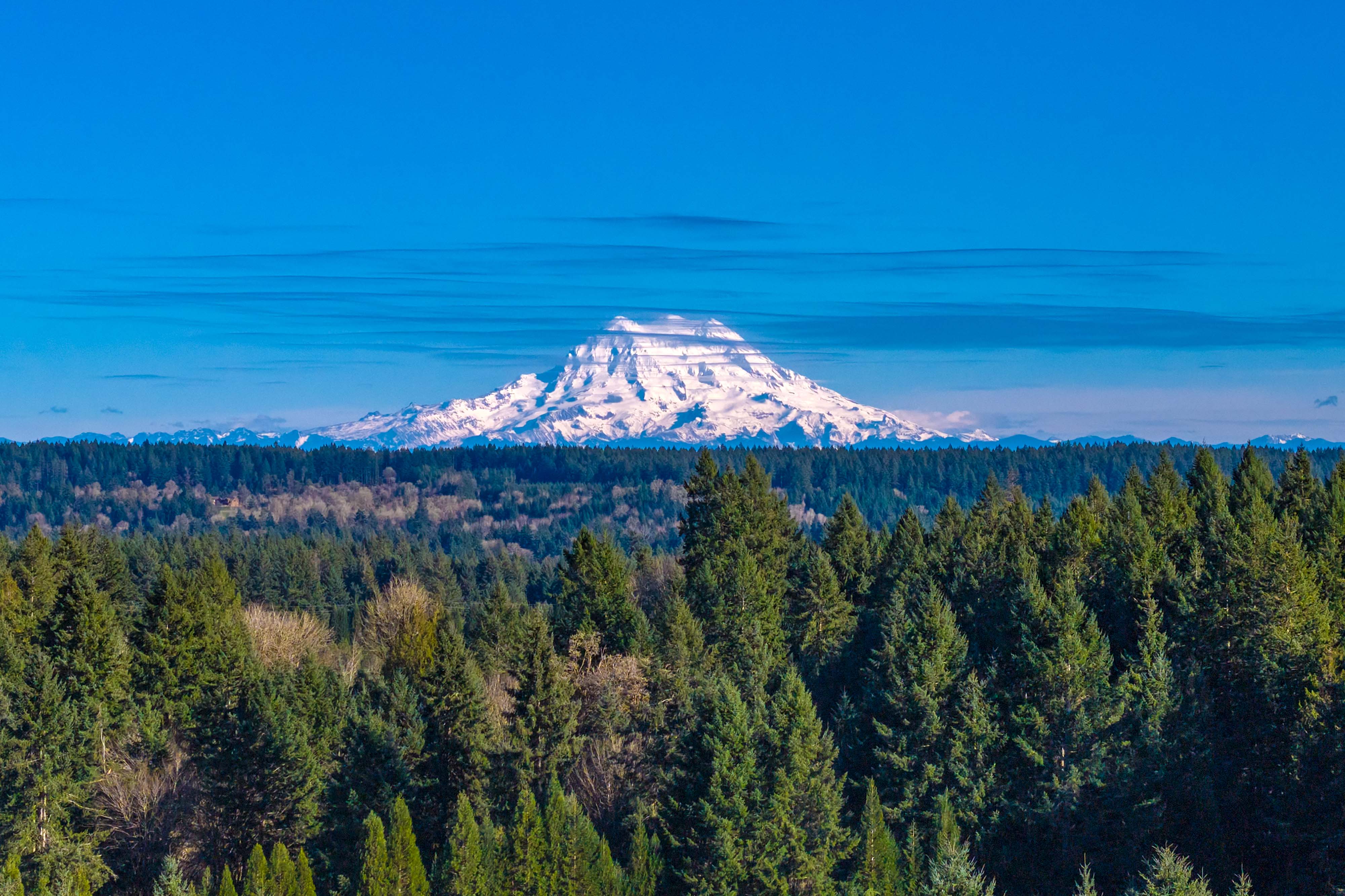 A snowy mountain in the distance.